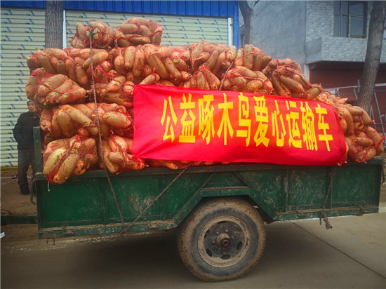 ＂愛心蘿卜＂來了！