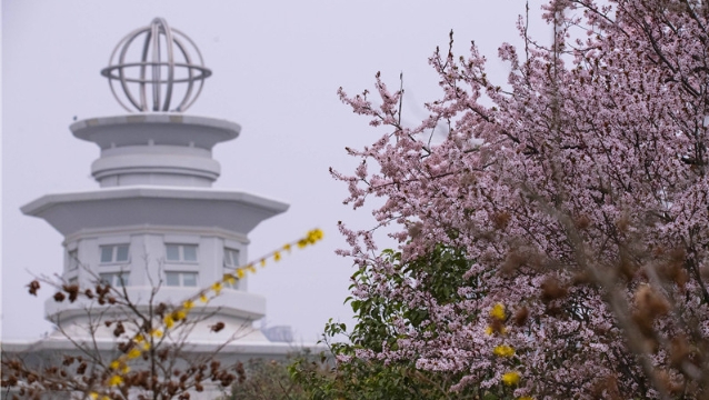 陽(yáng)春三月，踏青賞花正當(dāng)時(shí)