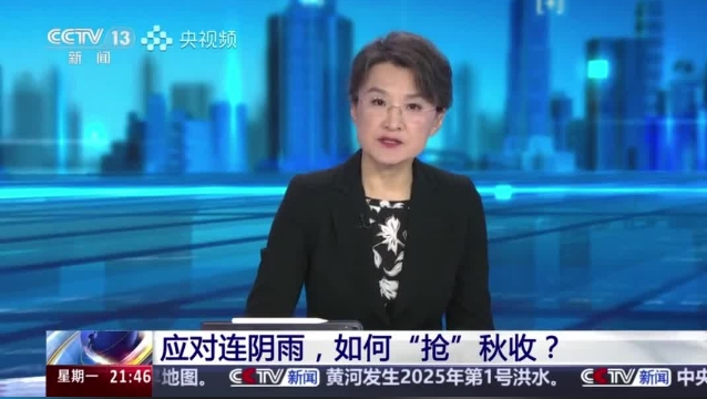 【主流媒體看周口】面對(duì)連陰雨 如何“搶”秋收？