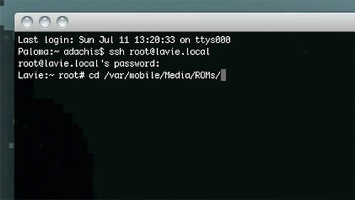 雷人的DIY 國外強人在iPad上玩Wii(圖)