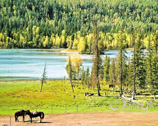 　集高山、河流、湖泊、森林、草原等自然景觀于一身的喀納斯