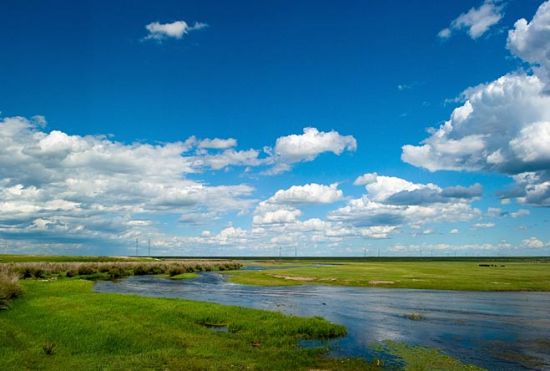 新浪旅游配圖:肥沃的土壤 攝影:銹劍